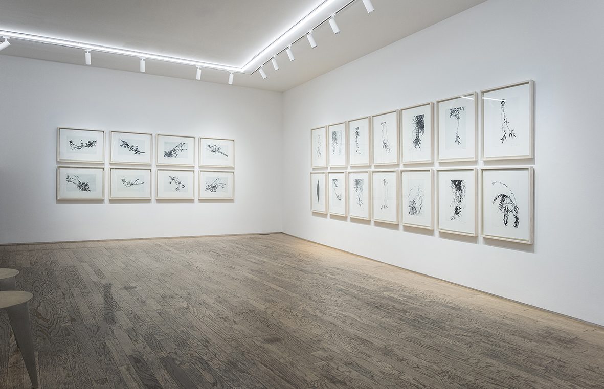 s강승희_새벽여백을열다_전시전경1