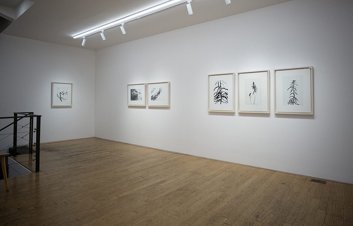 s강승희_새벽여백을열다_전시전경7